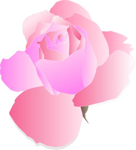 Pink Rose Clip Art At Vector Clip Art Online Royalty Free