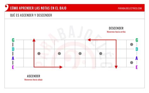 Cómo aprender las Notas en el Bajo Método Ejercicios