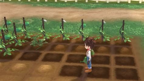 Story Of Seasons A Wonderful Life: Profitable Crops To Farm Gold