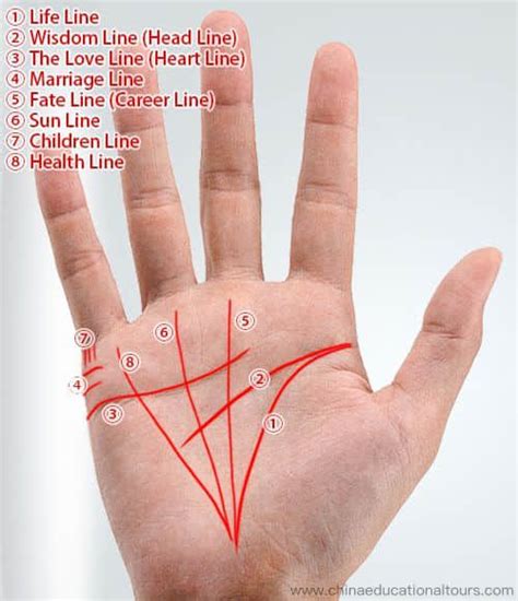 Palm Reading Lines Palm Reading Charts Palm Lines Palm Reading Right