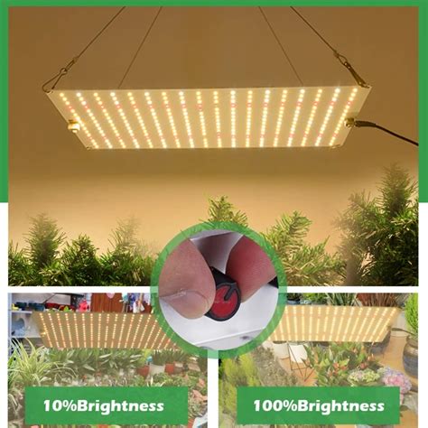 Quantum Full Spectrum LED Grow Light Veg E Bloom Phytolamp Plug UE Para