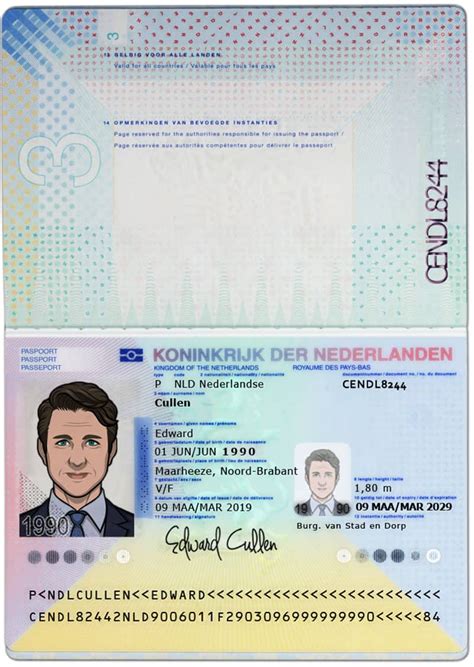 Netherlands Passport Template PSD Photoshop File