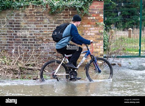 Datchet Berkshire Uk 8th January 2024 A Cyclists Runs The Gauntlet