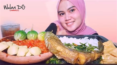 MUKBANG IKAN GABUS HASIL PANCINGAN SENDIRI CAH KANGKUNG JENGKOL MUDA