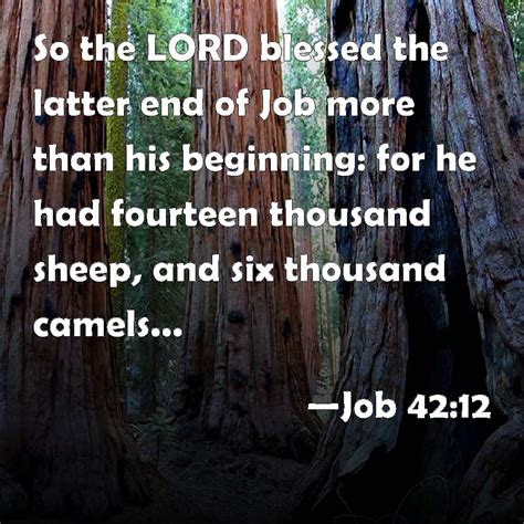 Job So The Lord Blessed The Latter End Of Job More Than His