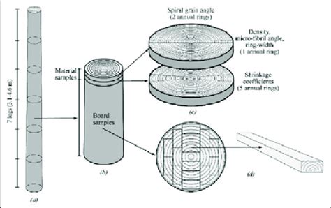 Wood Density And Microfibril Angle Measurement From Wood Disc By