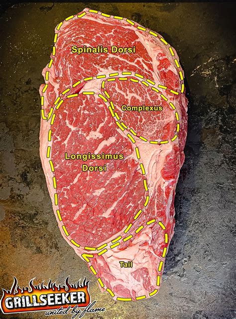 Parts Of A Ribeye Steak Diagram How To Grill The Perfect Rib