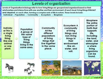 LEVELS OF ECOLOGICAL ORGANIZATION PPT INTERACTIVE NOTES AND ASSESSMENTS