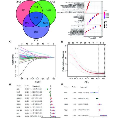 Construction Of A Prognosis Signature Based On M6a Related Differential