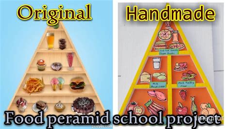 How To Make Food Pyramid Model For School Project Design Talk