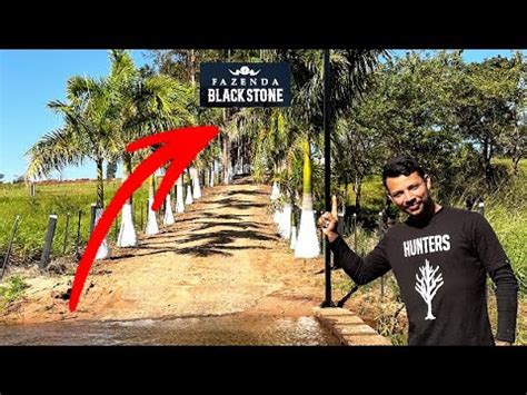 Fui Visitar A Fazenda Black Stone Youtube