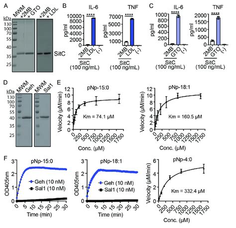 Lipoprotein Mediated Immune Cell Activation And Lipase Activity On Pnp