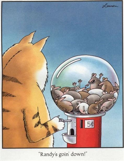 The 13 Best Far Side Comics For Cat Lovers Cats On Catnip Larson