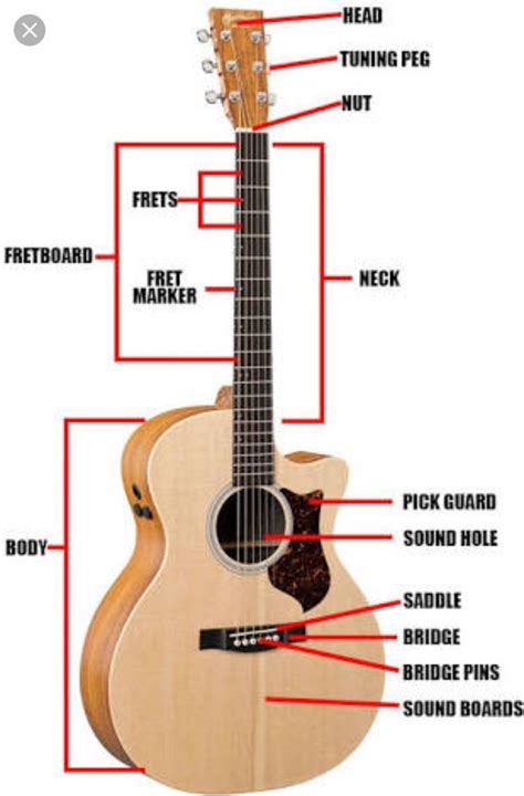 Name The Parts Of Guitar Brainly In