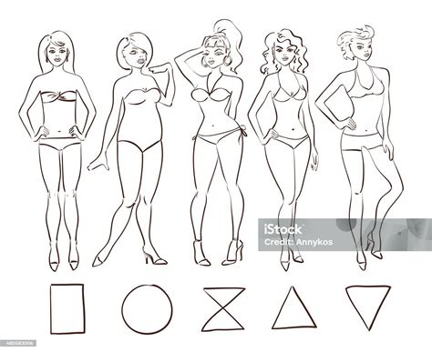 Sketch Set Of Isolated Female Body Shape Types向量圖形及更多人體圖片 人體 女人 蘋果 Istock