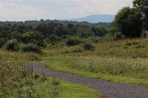 Rose Hill Opens As New Community Park Today Museum Of The Shenandoah