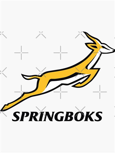 "Springboks Rugby - 2019 Springbok Rugby World Cup Champions" Sticker ...