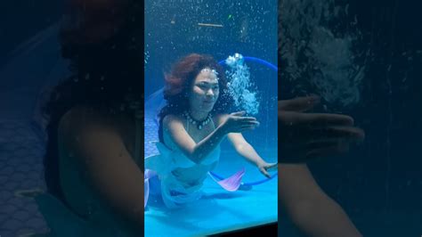 പാലക്കാട് വഴി വന്ന മത്സ്യകന്യക 🧜‍♀️ Marine World Palakkad Under Water