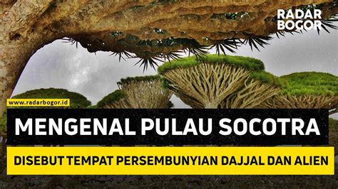 Mengenal Pulau Socotra Disebut Tempat Persembunyian Dajjal Dan Alien