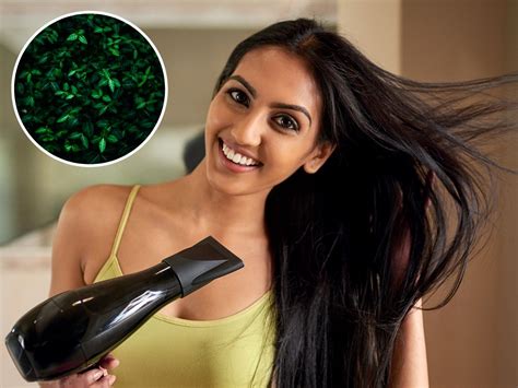 Hair Care लांब आणि दाट केस हवे हे छोटंसं पान काही दिवसात करेल जादू