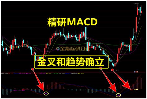 通达信精研macd战法，带b点入场信号【副图】指标，徐翔经典升级版 金指标研习社