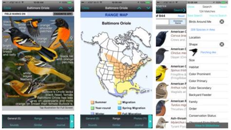 The Best Birding Apps For Iphone And Android Users Nature Blog Network