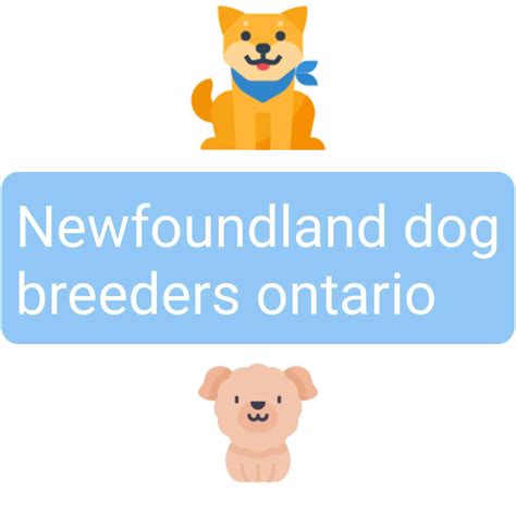 Best Newfoundland Dog Breeders Ontario - PokyDogs