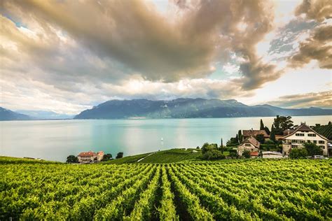 Montreux Chaplin S World Museum And Chillon Castle Day Trip From