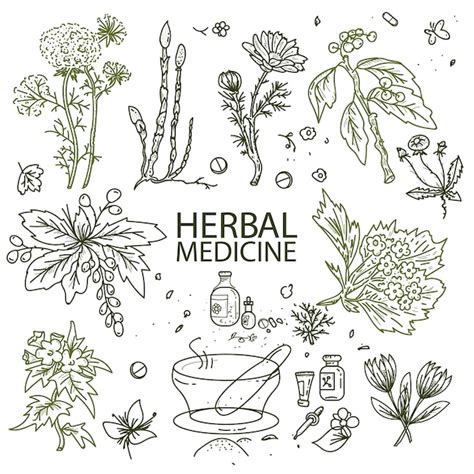 Doodle De Medicina Herbaria Vector Premium