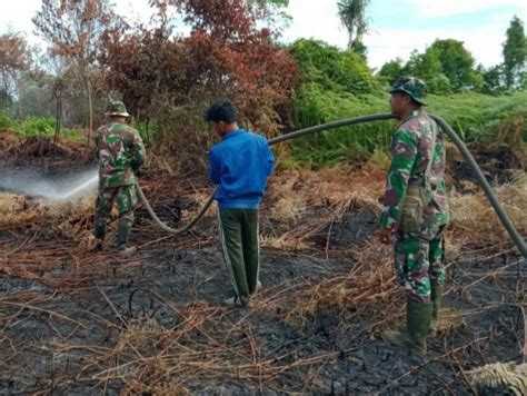 GoRiau Awal 2020 Sudah 21 Hektar Lebih Lahan Di Riau Terbakar