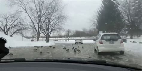 Catherine French Milf Tnaflix