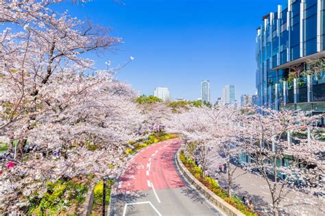 Finding The Best Tokyo Luxury Apartments For Sale Housing Japan