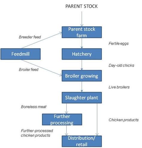 Vertical Integration In The Poultry Industry Source Henry And