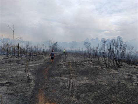 Bomberos de Iguazú luchan para extinguir un incendio forestal EL