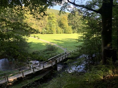 Wandern Extratour Königsweg Bad Brückenau Rhön Tour 177741