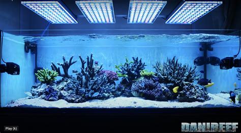 Orphek Showcases A 600 Liters Reef Aquarium Under Our Atlantik V4 Gen 2