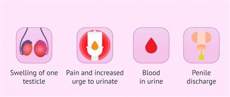 Symptoms Of Epididymitis