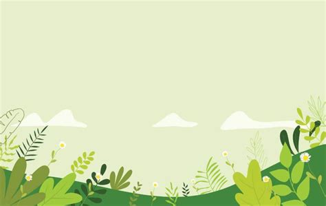 seaside wildlife discovery guide field studies council