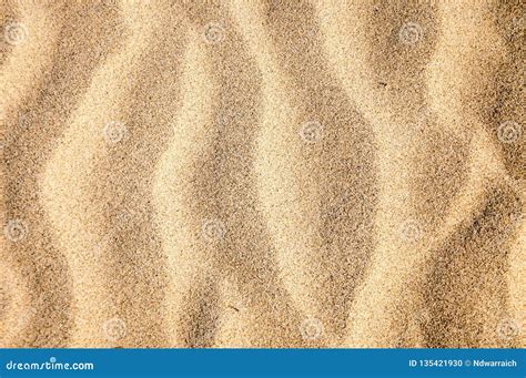 Golden Sand Texture And Pattern Stock Photo Image Of Texture Pattern