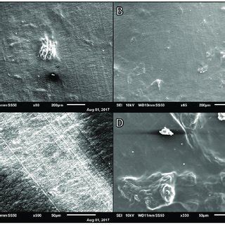 Sem Micrographs Of Alg Agarose Ag Samples At Various