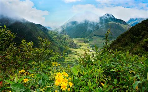 壁紙1920x1200風景写真山畑エクアドルPululahua低木火山自然ダウンロード写真