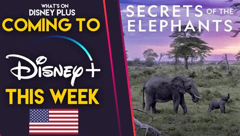 Whats Coming To Disney This Week Secrets Of The Elephants US