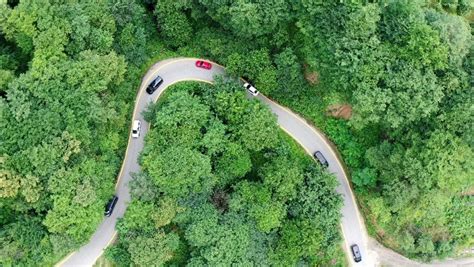 Trabzon Büyükşehir Belediyesi Hıdırnebi Yaylası Yolunda Güvenlik