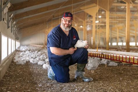 Ross 420 Becomes Ross 440 Club As Uk Broiler Field And Genetic