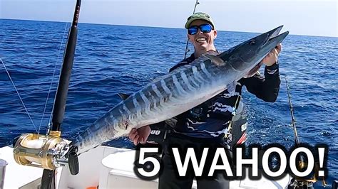 Our Best Wahoo Trip Yet High Speed Trolling And Medium Speed Trolling