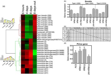 Identification Of Candidate Gene For Monitoring Up And Down Regulation