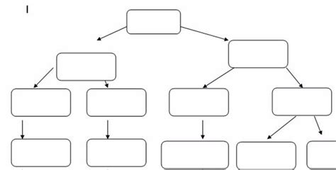 Classification Of Matter Diagram Quizlet