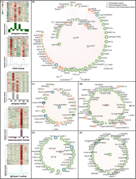 Gene expression patterns of three modules and gene coexpression network ...