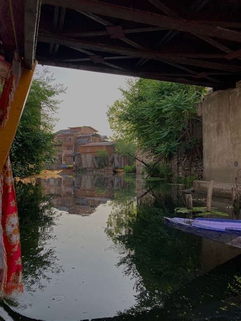 A Beautiful Boat Ride in Kashmir