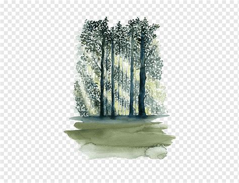 Rvore Da Floresta Verde Pintura Em Aquarela Paper Tree Forest